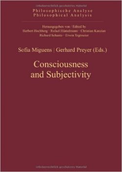 Consciousness and Subjectivity